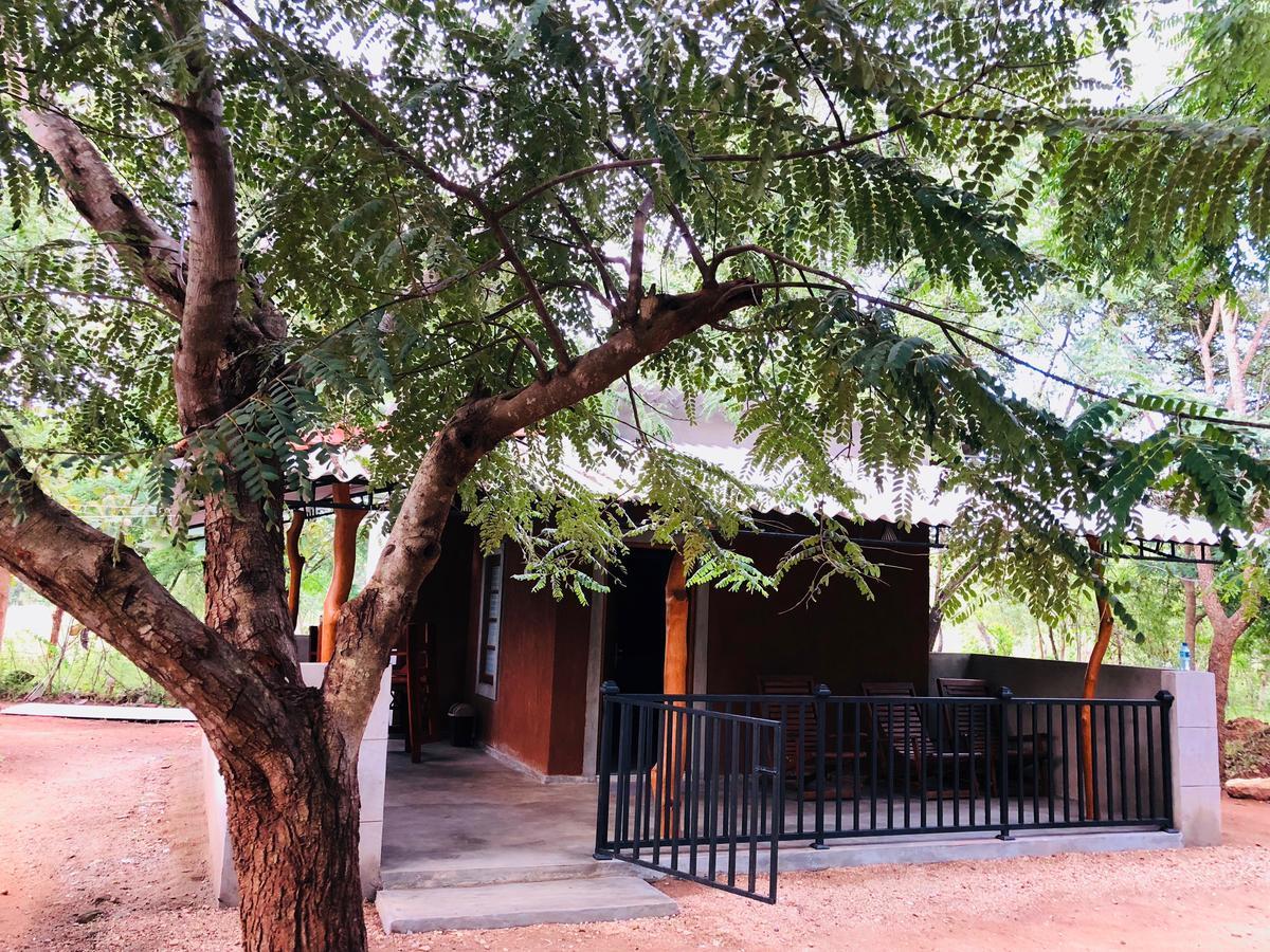The Summer Corridor - Kataragama Exterior foto