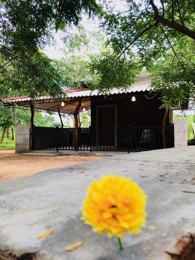 The Summer Corridor - Kataragama Exterior foto